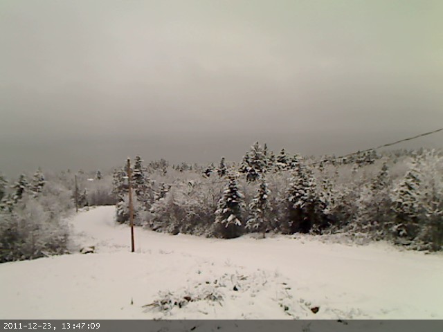 Red Maple Ridge Webcam